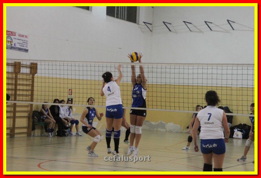 140305 Primula 121_tn.jpg